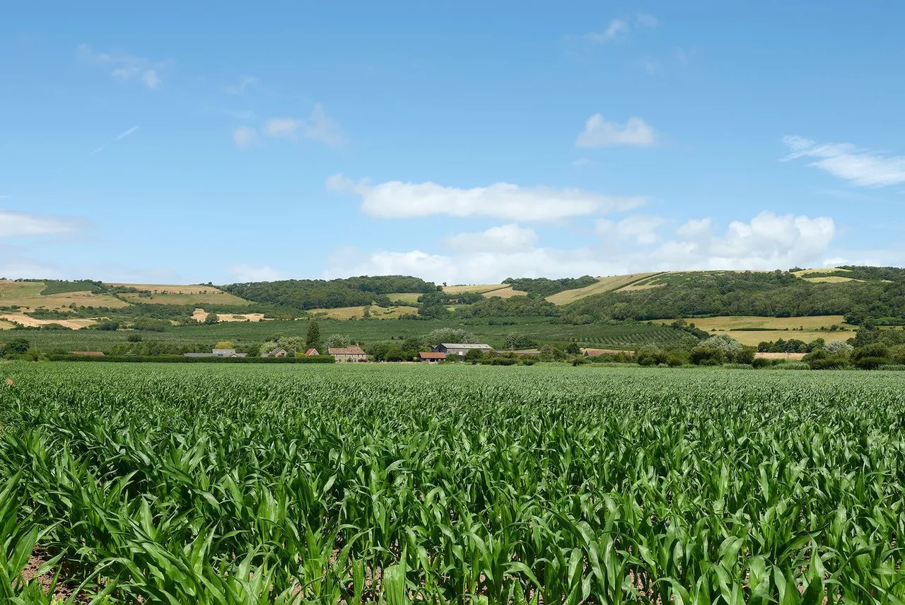 Shiplate Road, Bleadon, BS24, photo 43