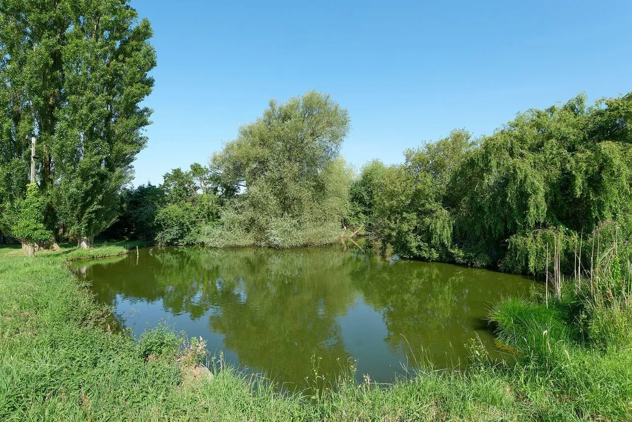 Shiplate Road, Bleadon, BS24, photo 4