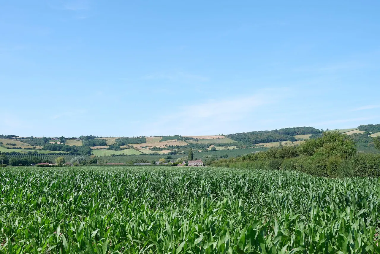 Shiplate Road, Bleadon, BS24, photo 42
