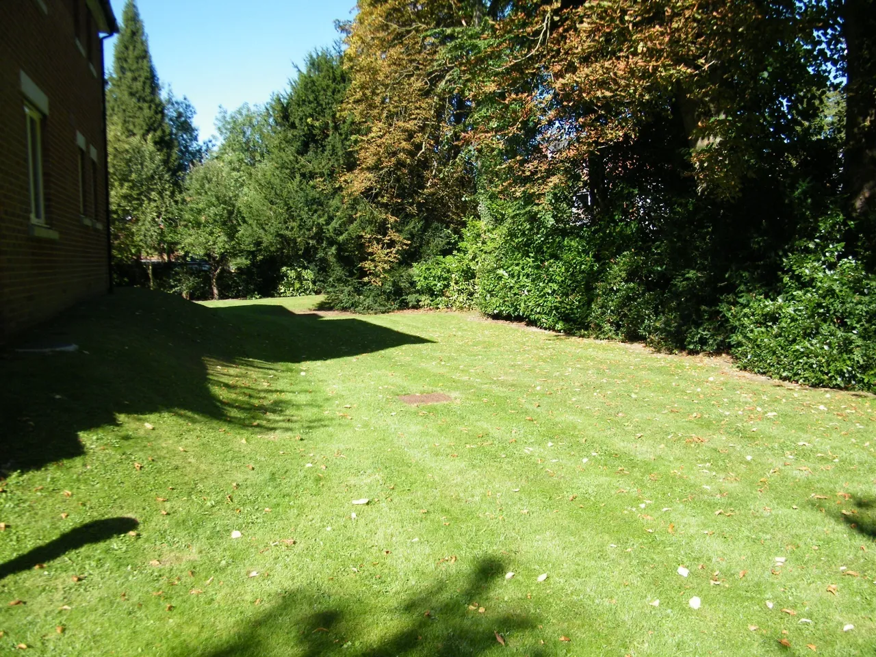 Dene Court, 40 Stafford Road, Caterham, Surrey, CR3, photo 13