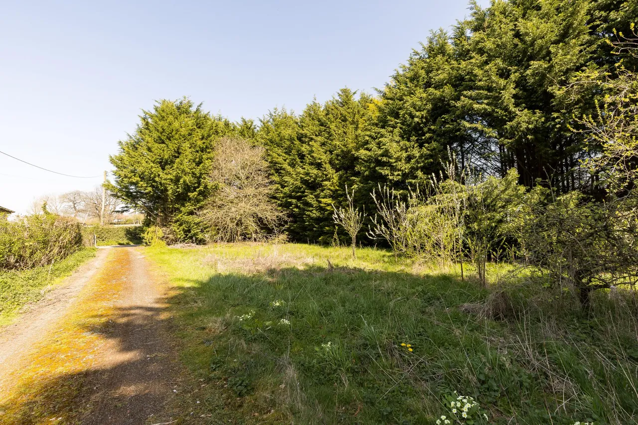 Ellesmere, SY12, photo 24