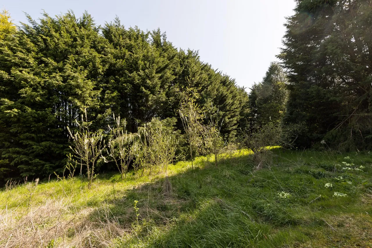 Ellesmere, SY12, photo 25