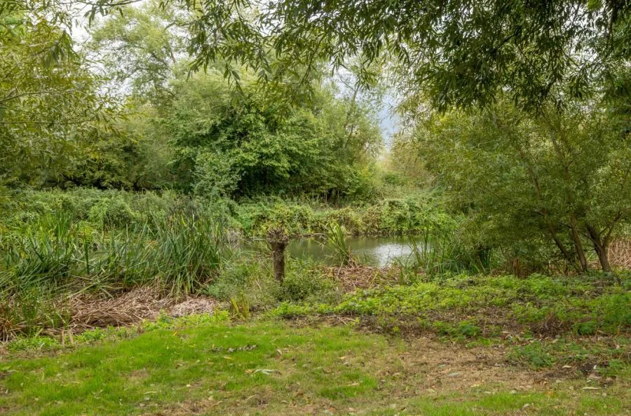 Sandford Lane, Woodley, RG5, photo 27