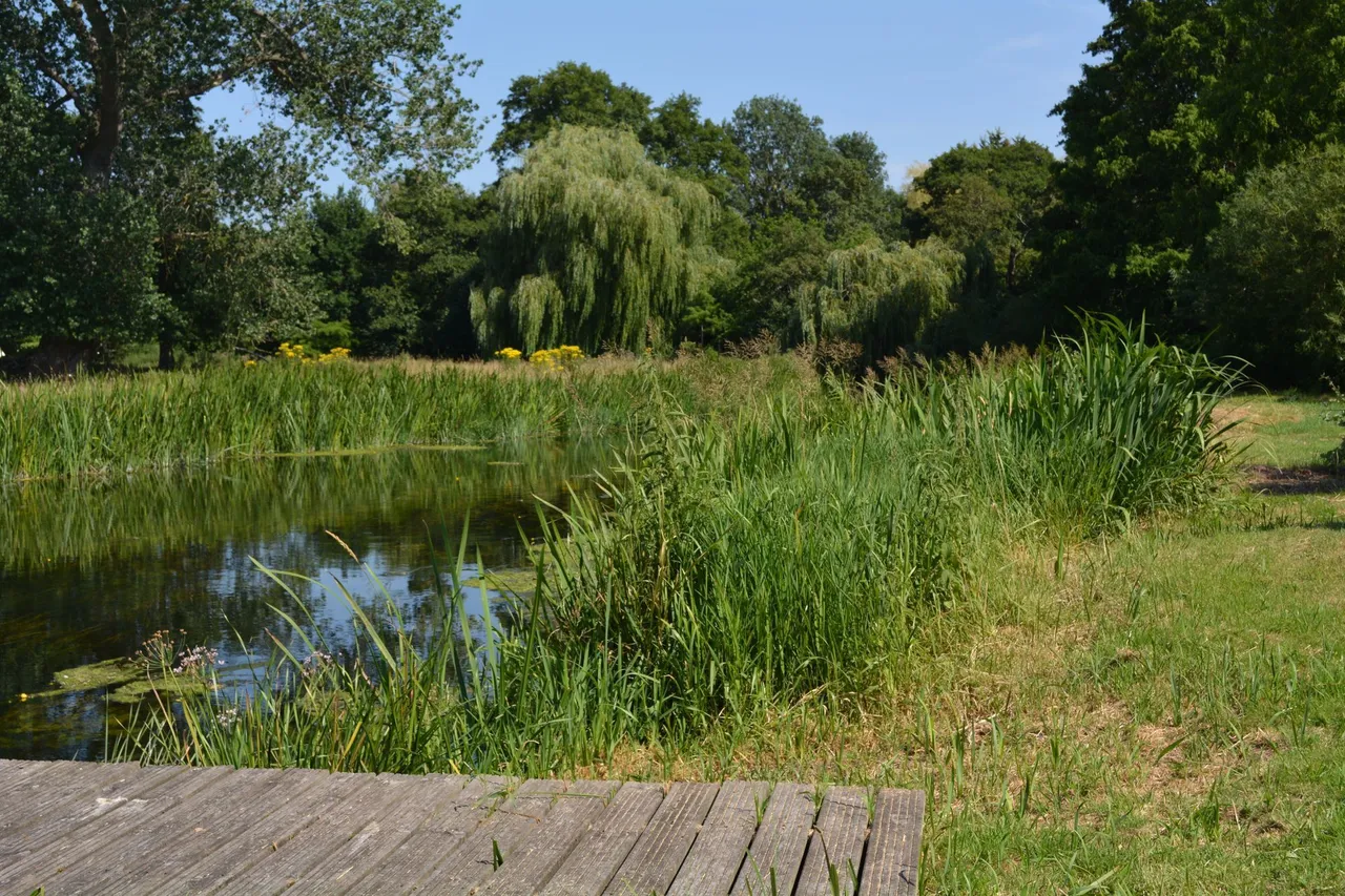 Period Property with Private Riversid, photo 21