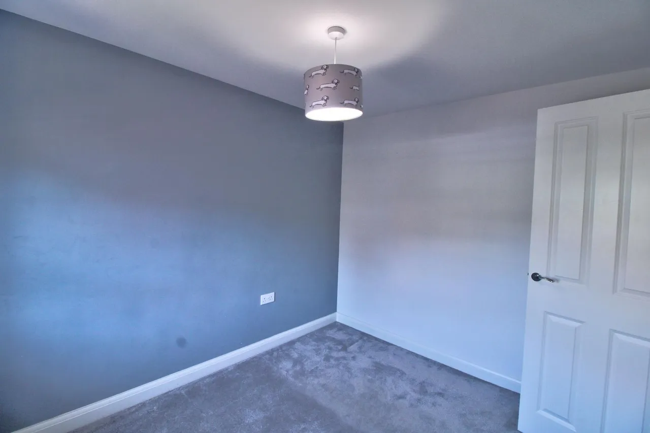 Alba Avenue, Cwmbran, NP44, photo 12
