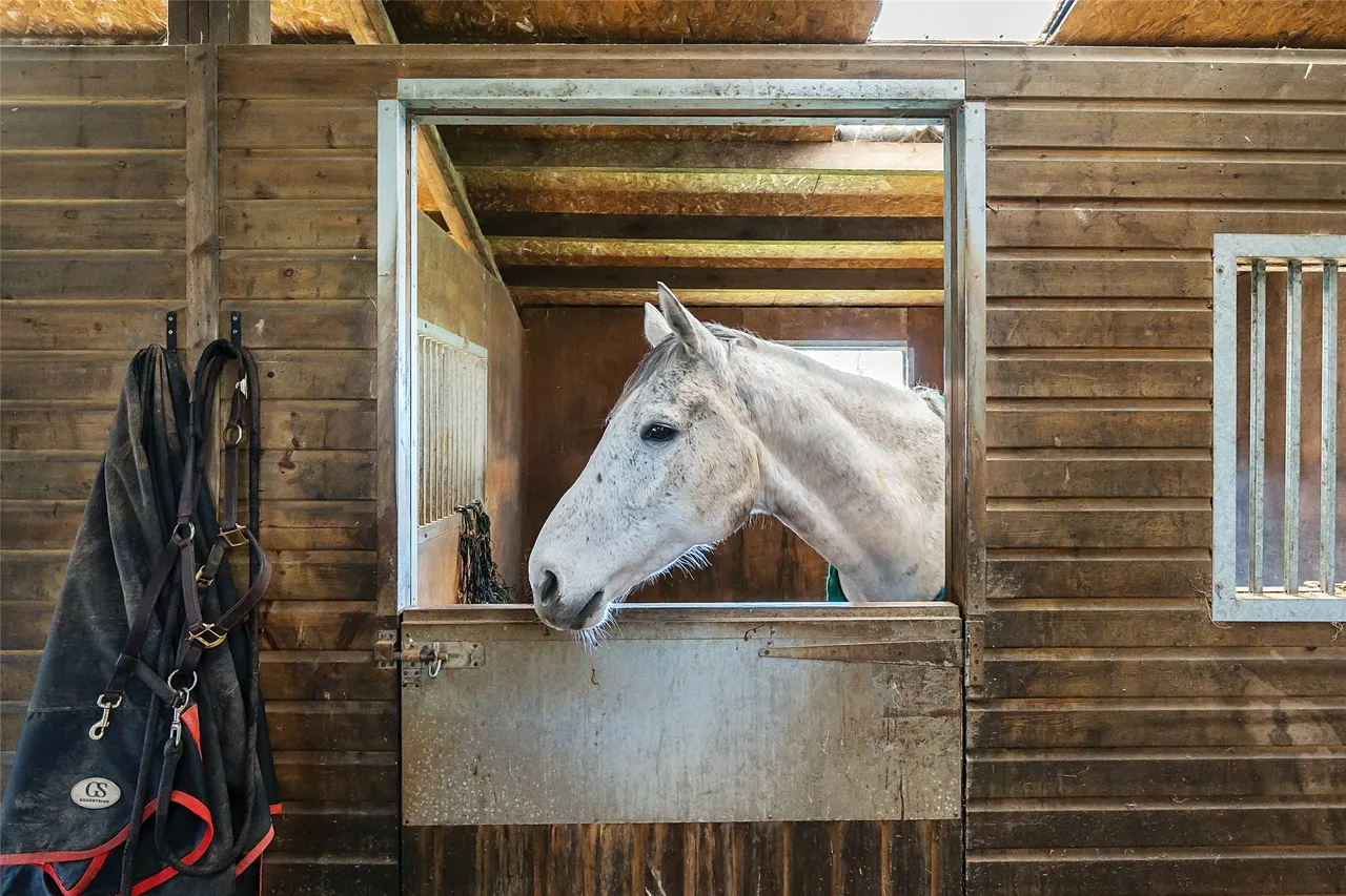 High Bickington, Umberleigh, EX37, photo 38