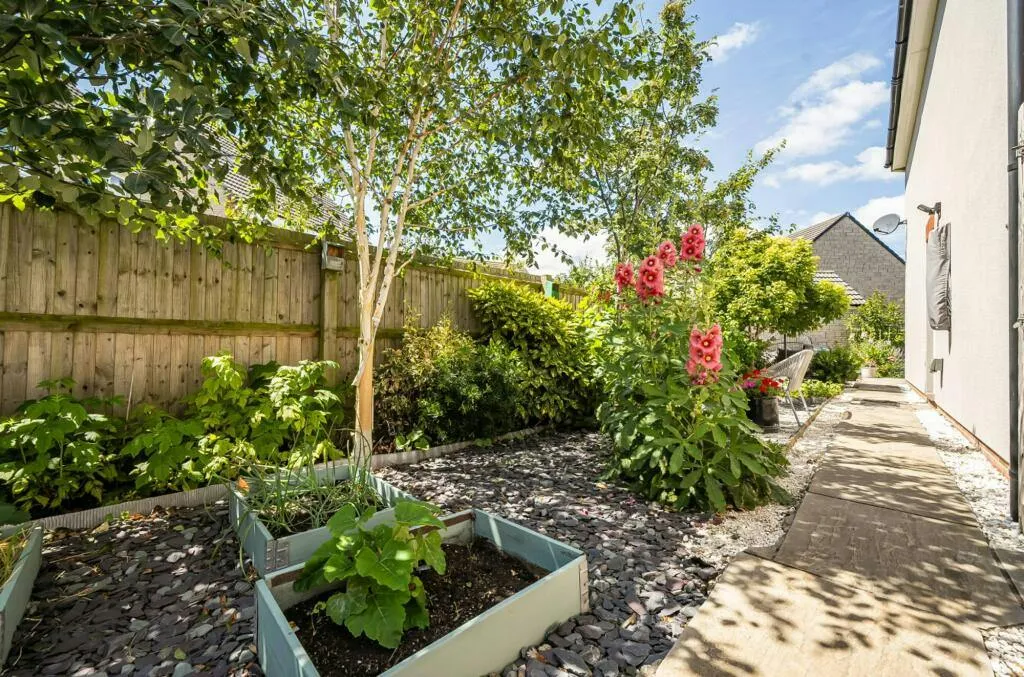 Colliers Gardens, Backwell, BS48, photo 19