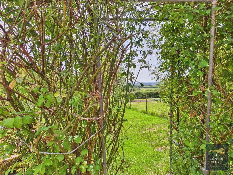 Dowland, Winkleigh, EX19, photo 23