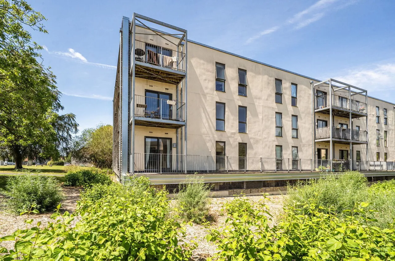 Lime Tree Square, Street, BA16, photo 21