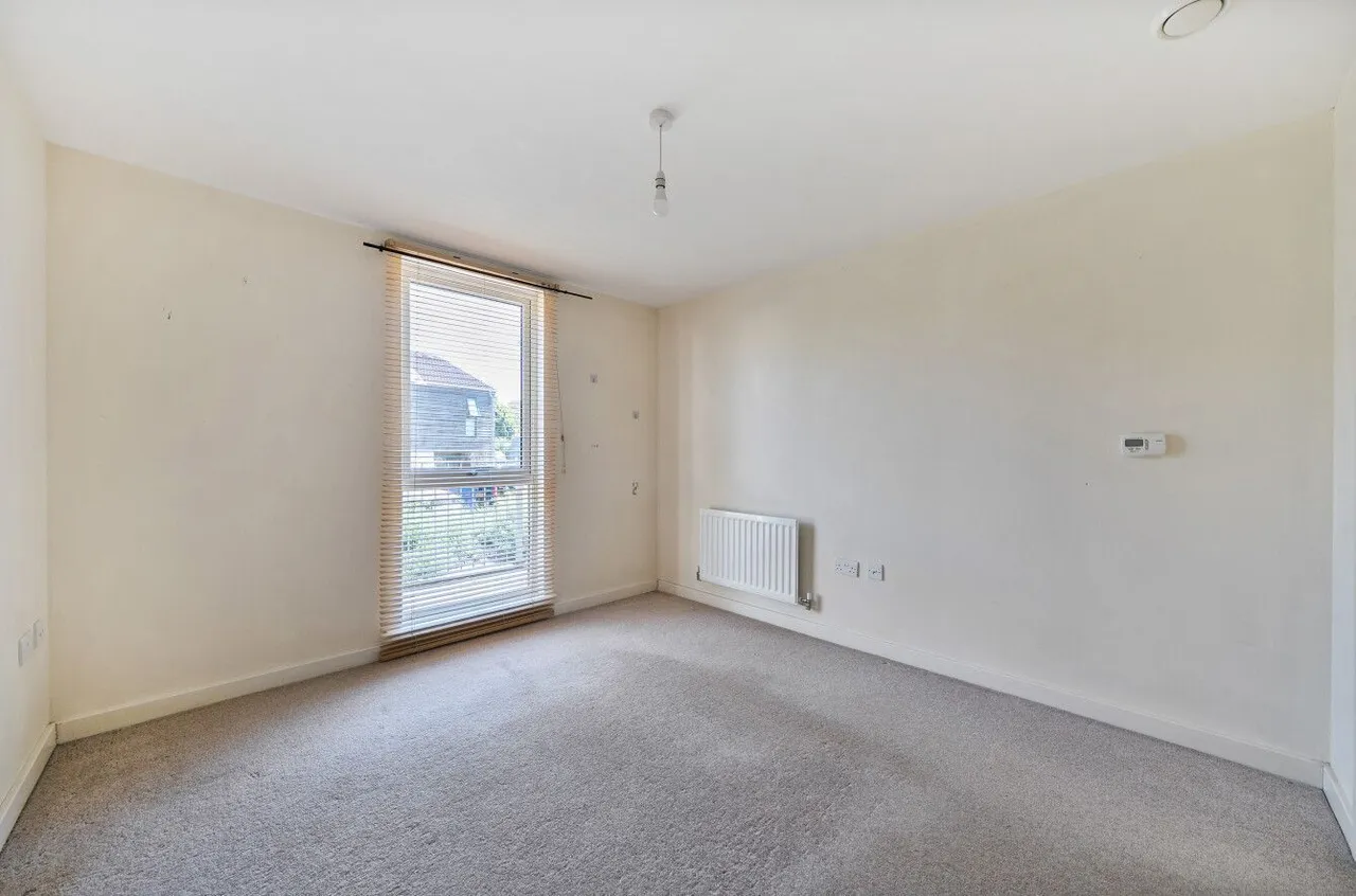 Lime Tree Square, Street, BA16, photo 15