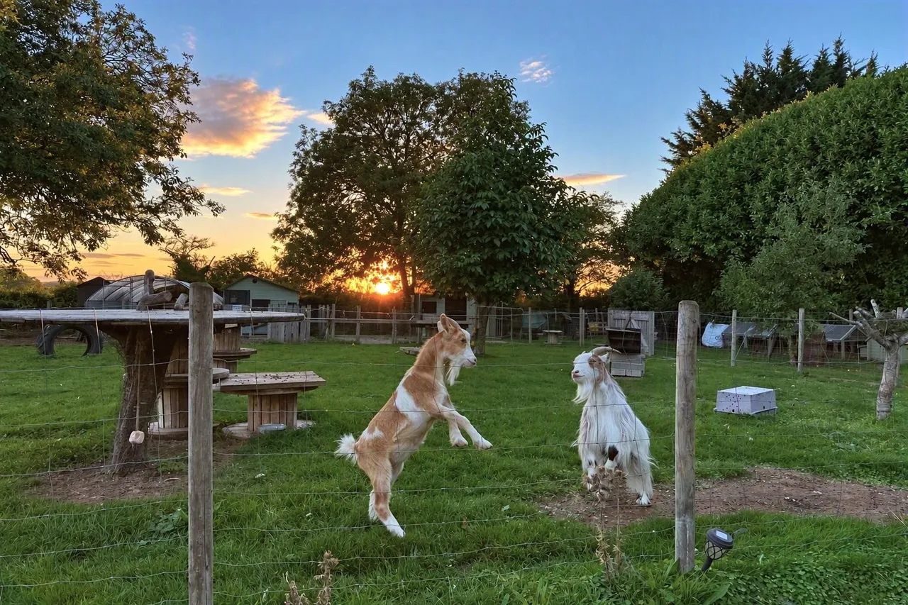 Andrews Paddock, Hibaldstow, photo 32