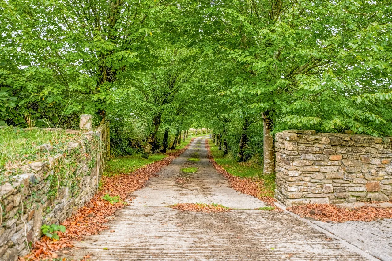 Llanarthney, Carmarthen, SA32, photo 4