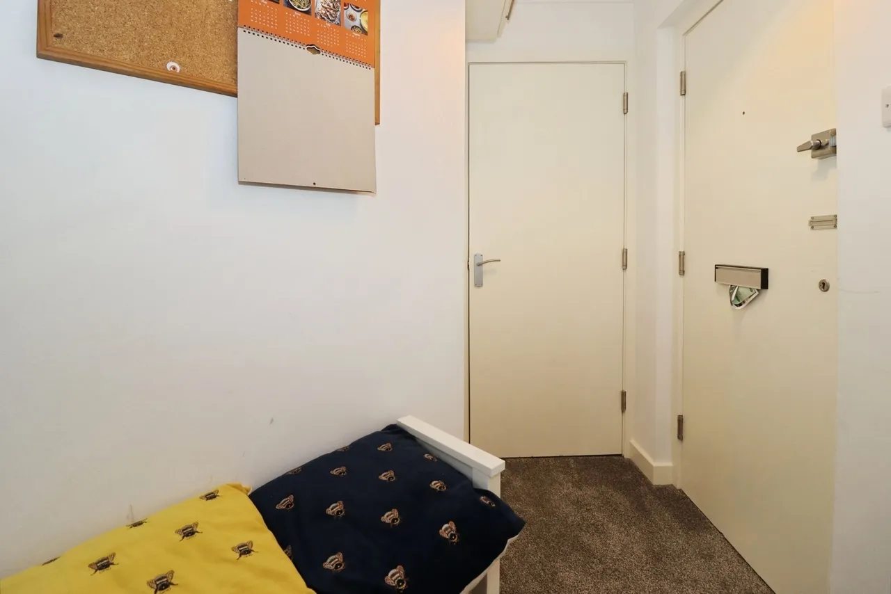 Gloucester Road North, Bristol, Gloucestershire, BS7, photo 12