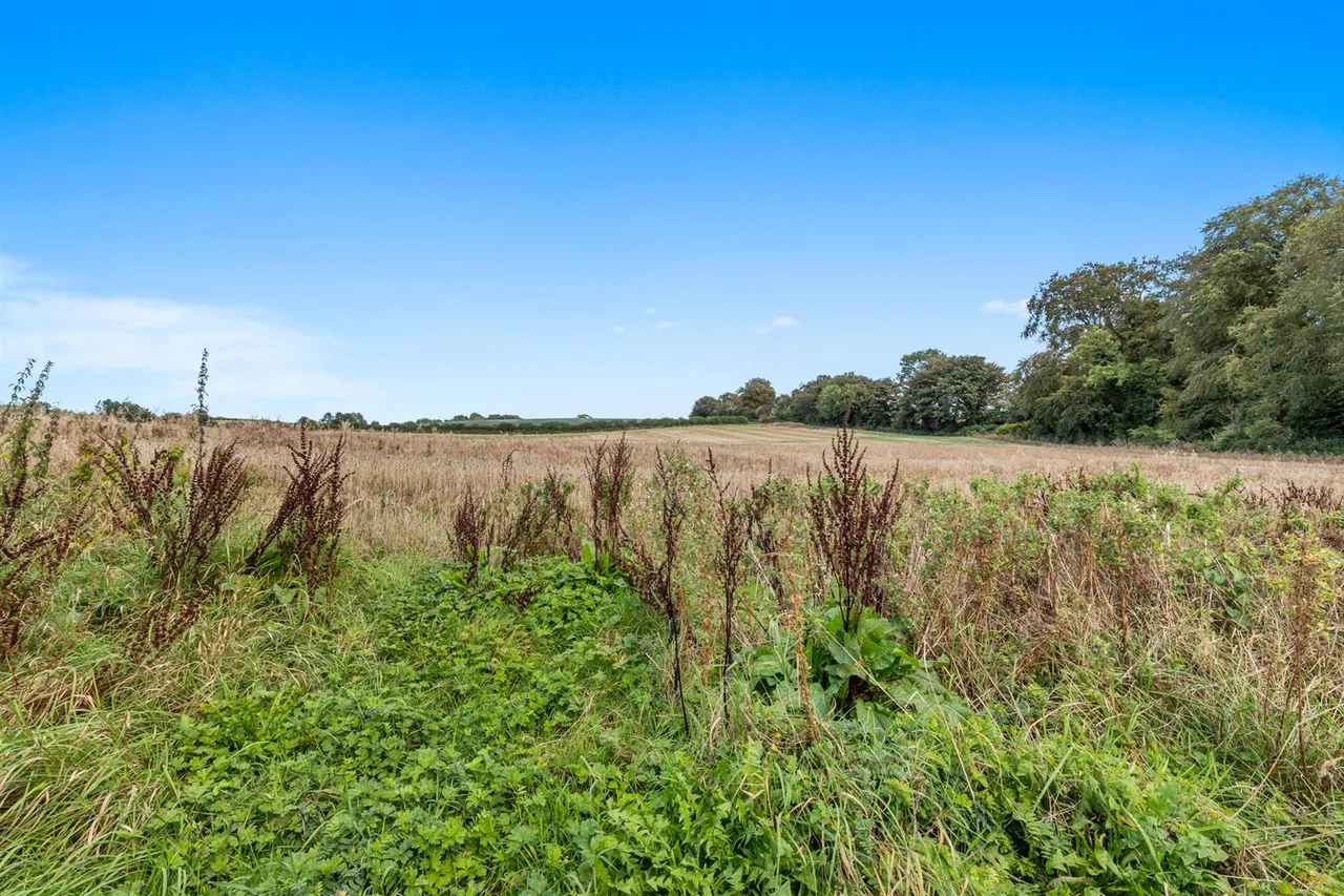 Old Mill Grove, Dundonald, BT16, photo 28