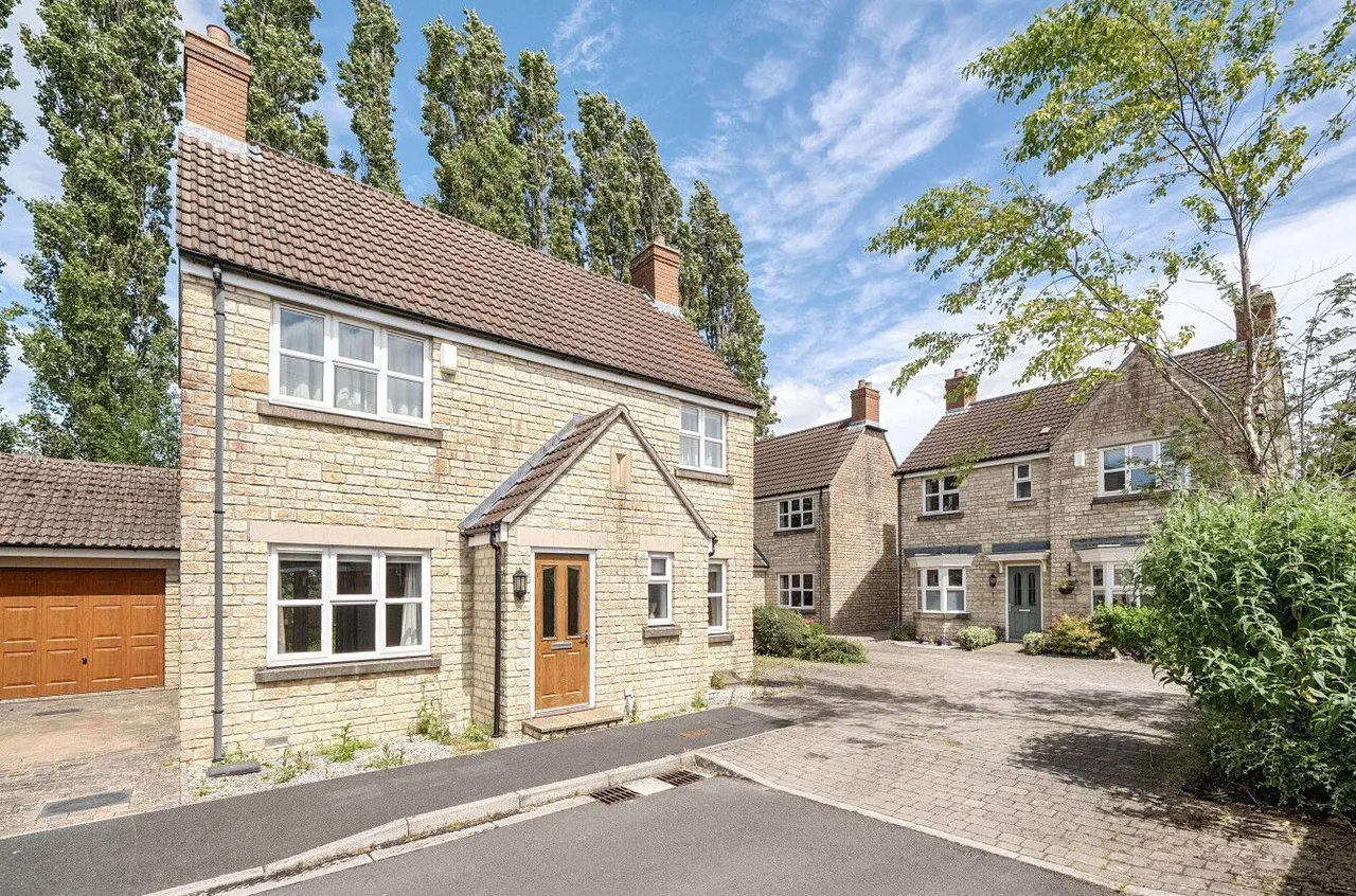 Bearberry Meadow, Midsomer Norton, BA3, photo 18