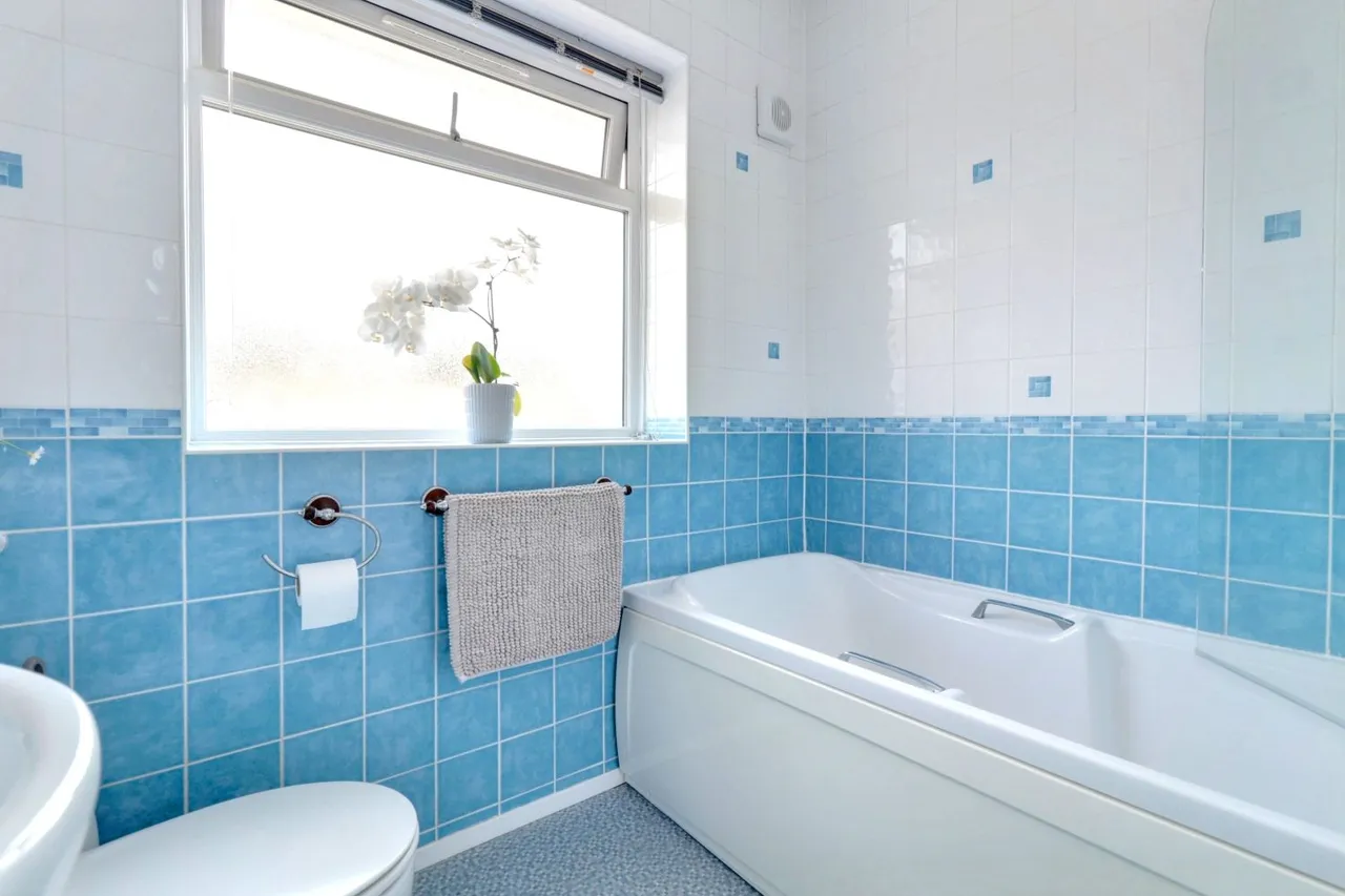 Colleton Way, Exmouth, EX8, photo 9