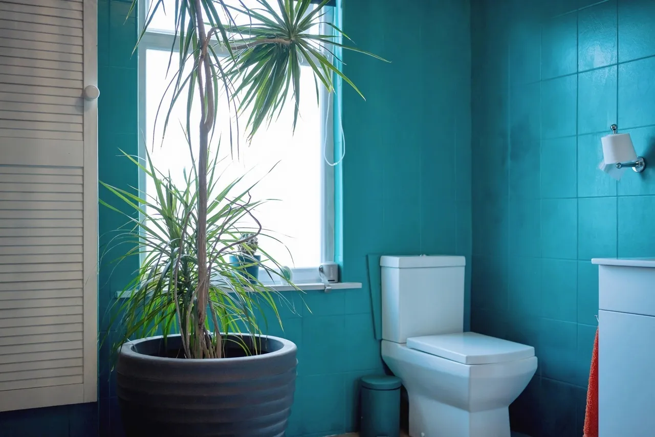 Morley Road, Warrington, WA4, photo 13