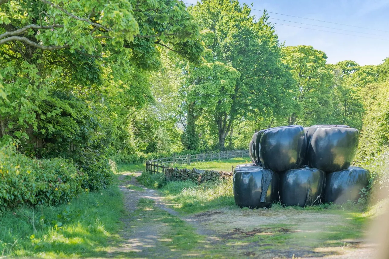 Sycamore Farm, Helme, HD9, photo 44