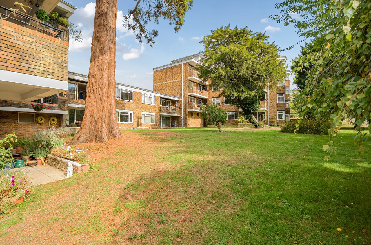 Laine Close, Brighton, BN1, photo 25