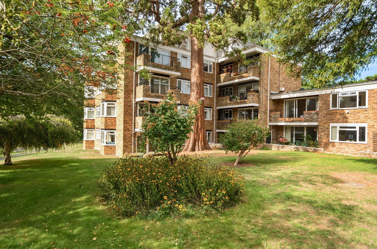 Laine Close, Brighton, BN1, photo 22