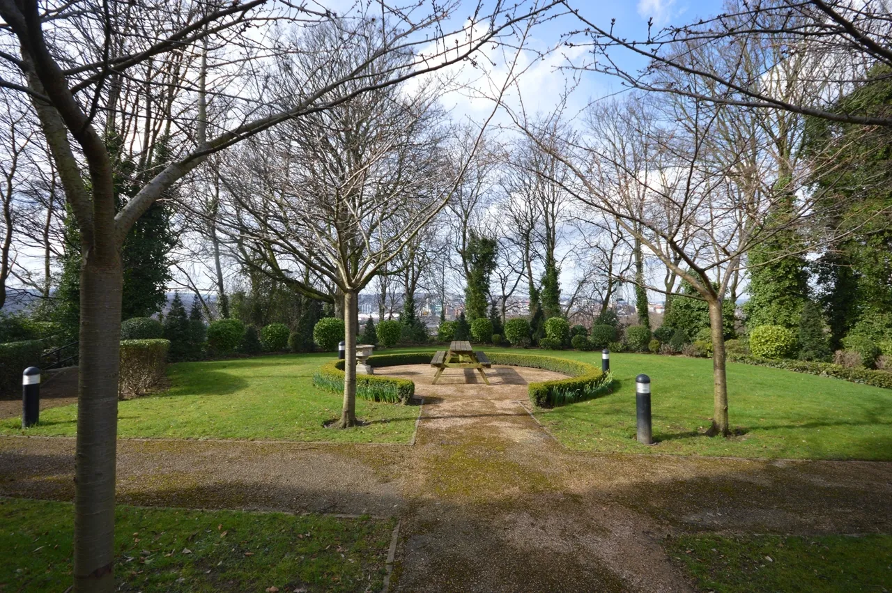 Queens View, Nr City Centre, S2 3RY, photo 15