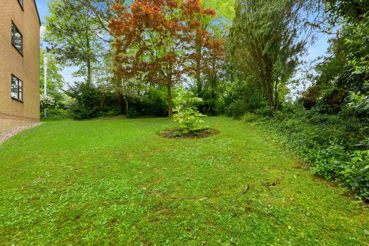 Ecclesall Road South, Sheffield, S11, photo 14
