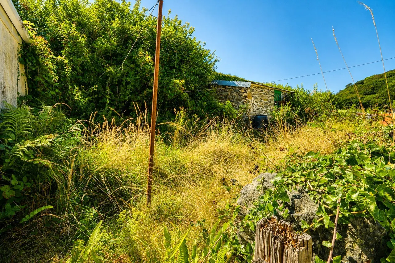 Crossmead, Lynton, EX35, photo 16