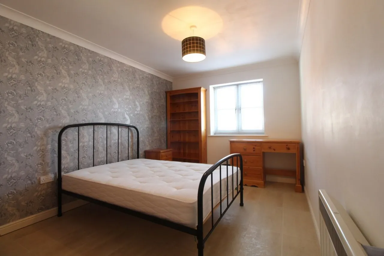 Albany Gardens, Hythe, CO2, photo 5