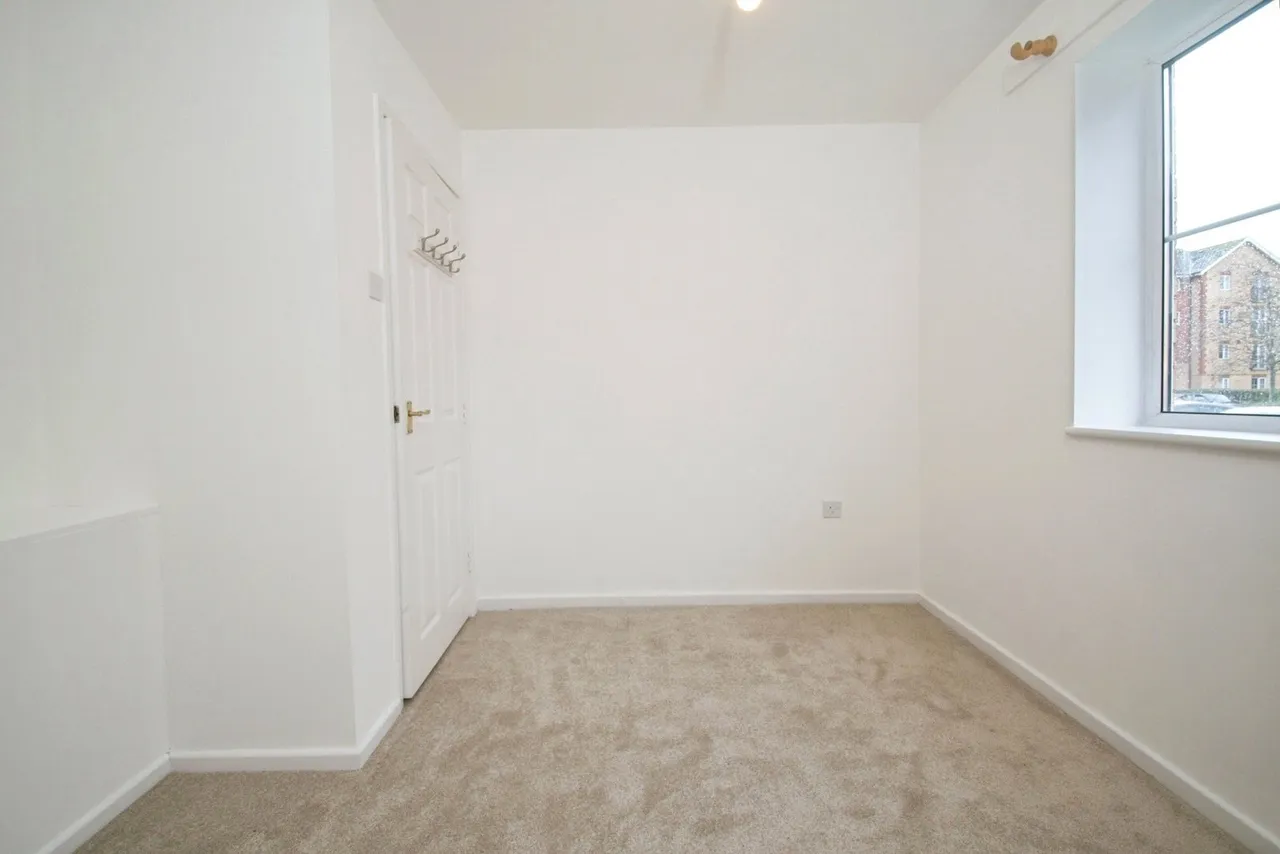 Seager Drive, Cardiff, CF11, photo 10
