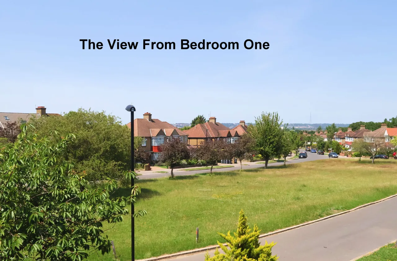 Shirley Avenue, Croydon, Croydon, CR0 8SQ, photo 11