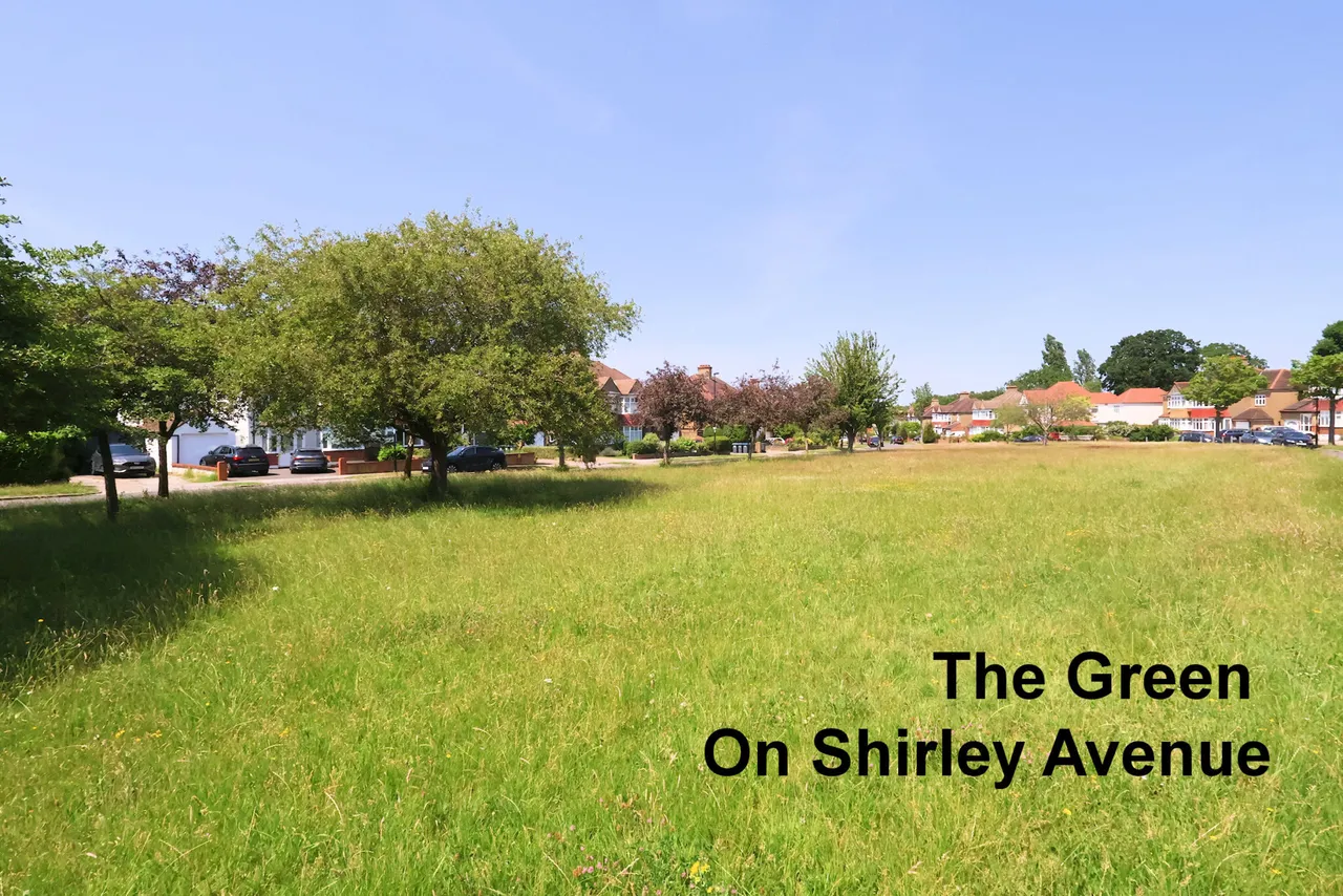 Shirley Avenue, Croydon, Croydon, CR0 8SQ, photo 18