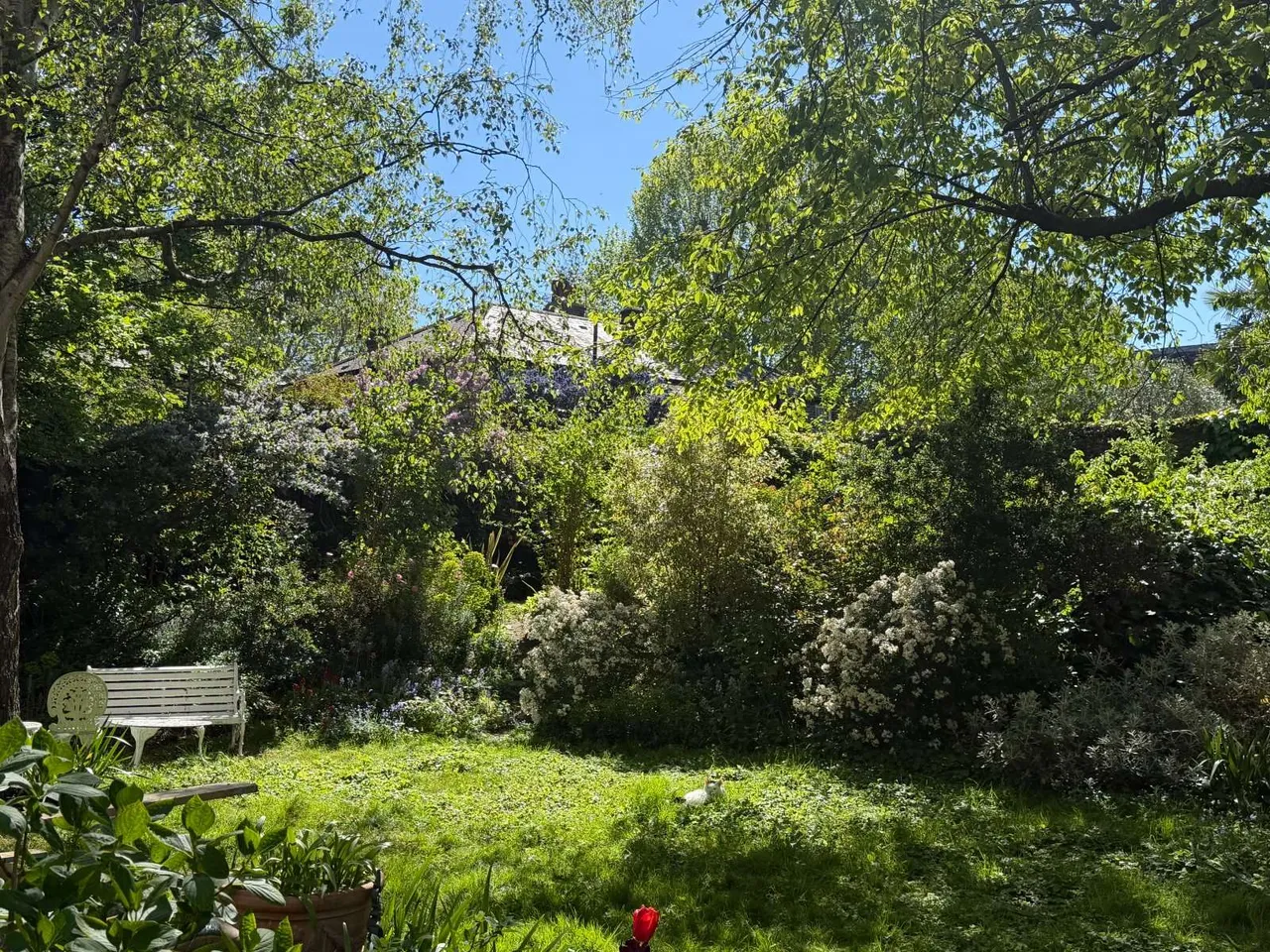 Dovedale Gardens, 465 Battersea Park Road, London, SW11 4LR, photo 6