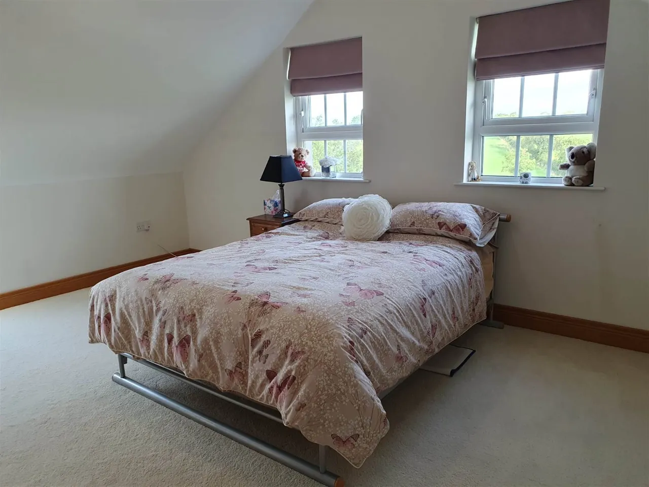 Oakhill Road, Dromore, BT25, photo 34