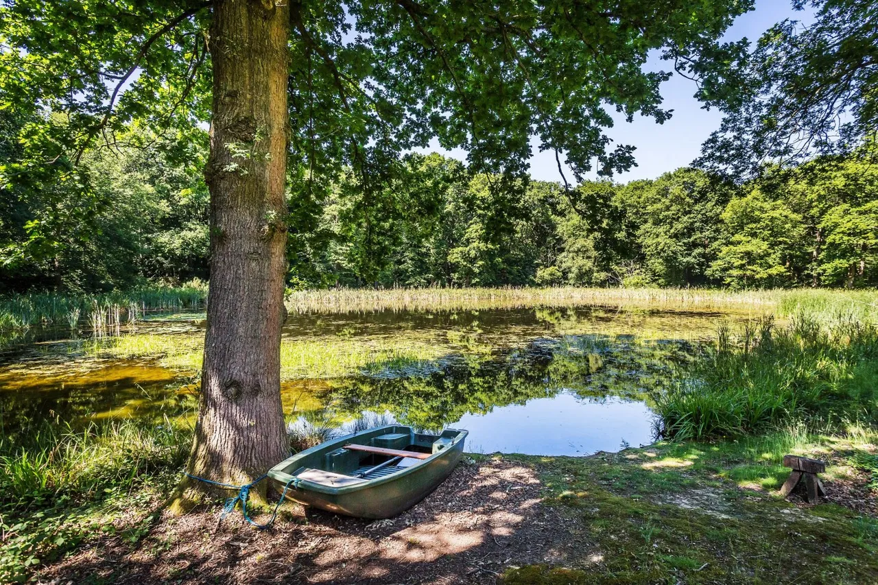Somersbury Lane, Rudgwick, RH12, photo 8