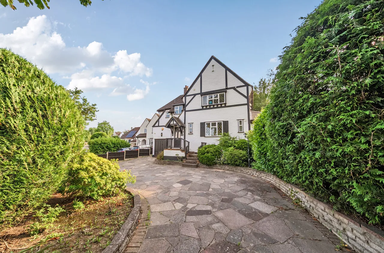 Orpington, photo 24