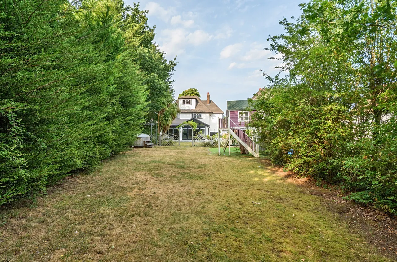 Orpington, photo 22