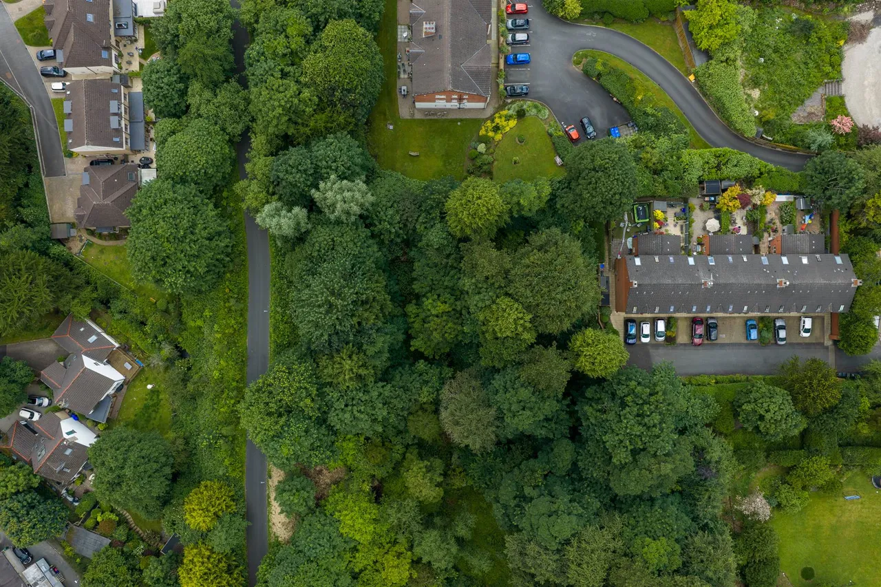 Kings Road, Ballyhackamore, BT5, photo 4