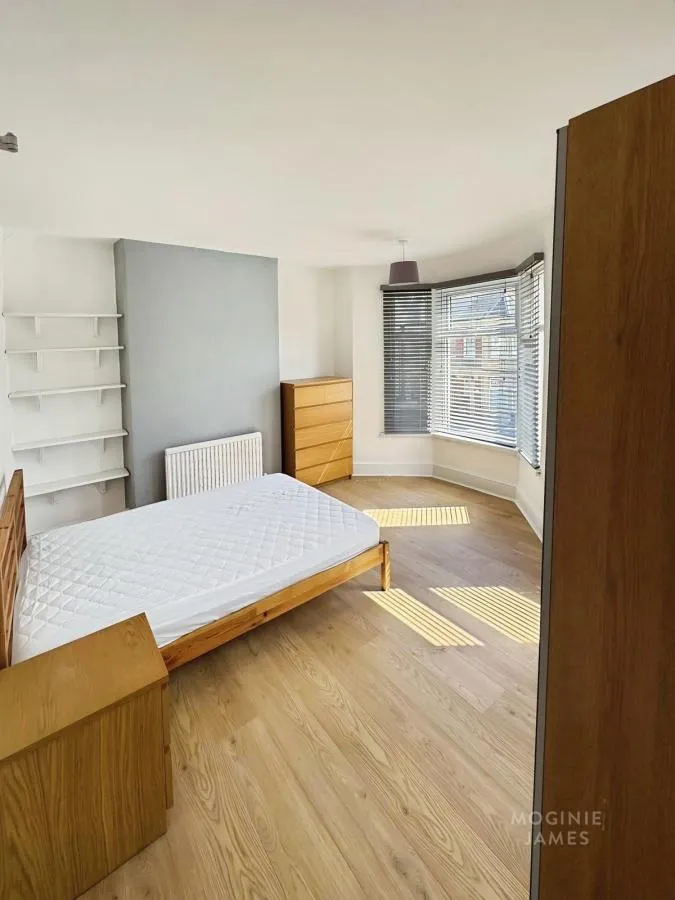 Dogfield Street, Cardiff, CF24, photo 4