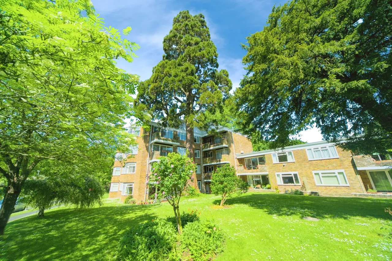 Laine Close, Brighton, BN1, photo 12