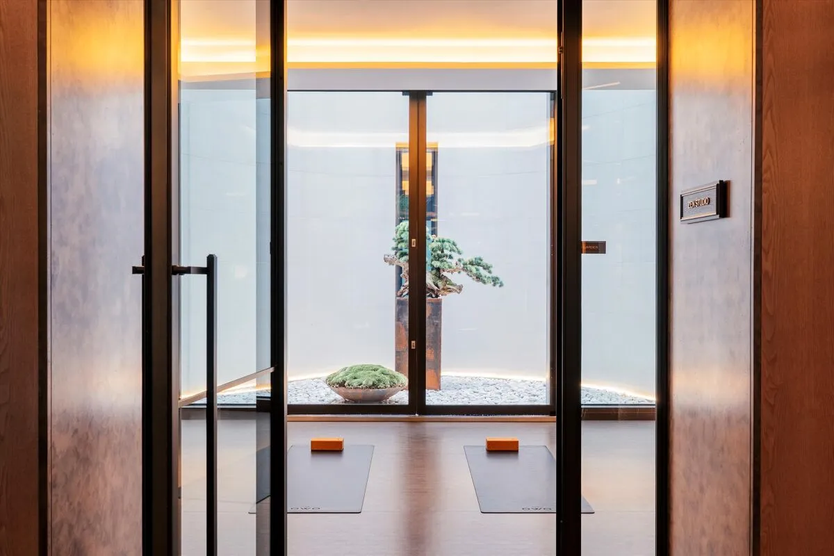 The OWO Residences by Raffles, Whitehall, SW1A, photo 39