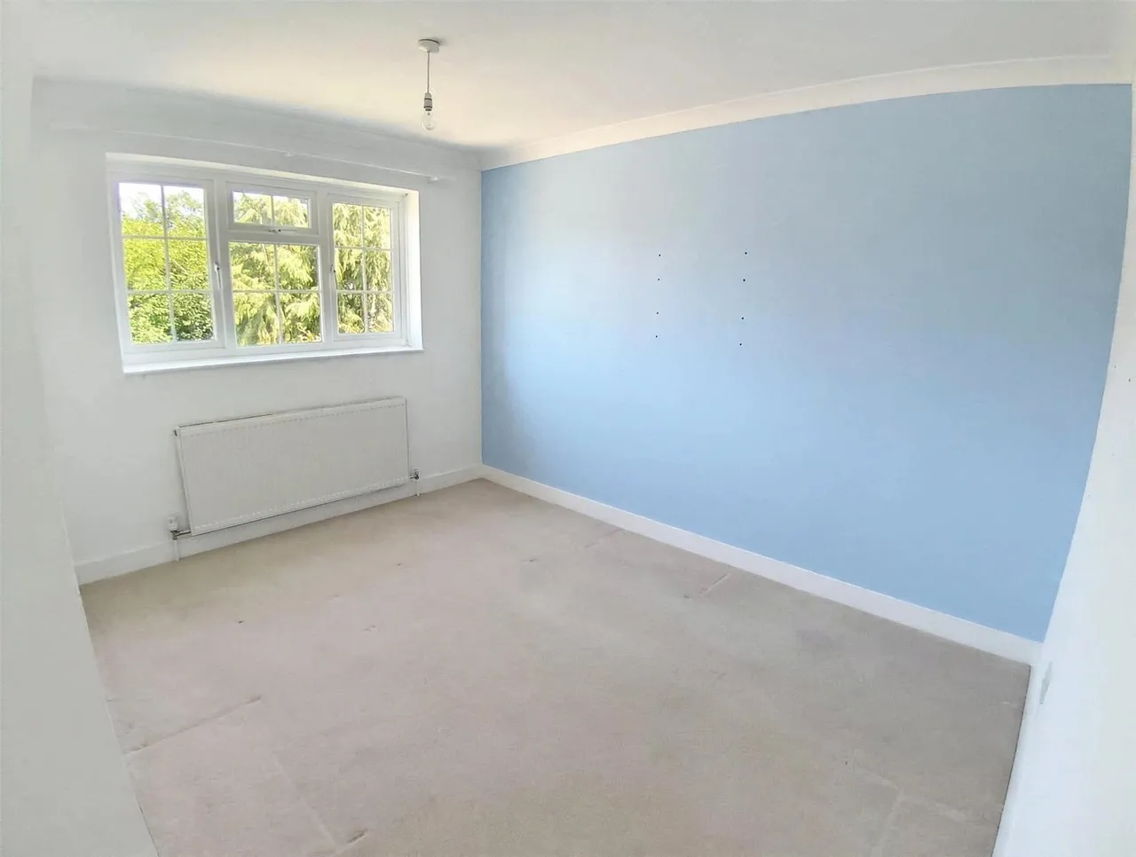 Pretoria Avenue, Midhurst, GU29, photo 8