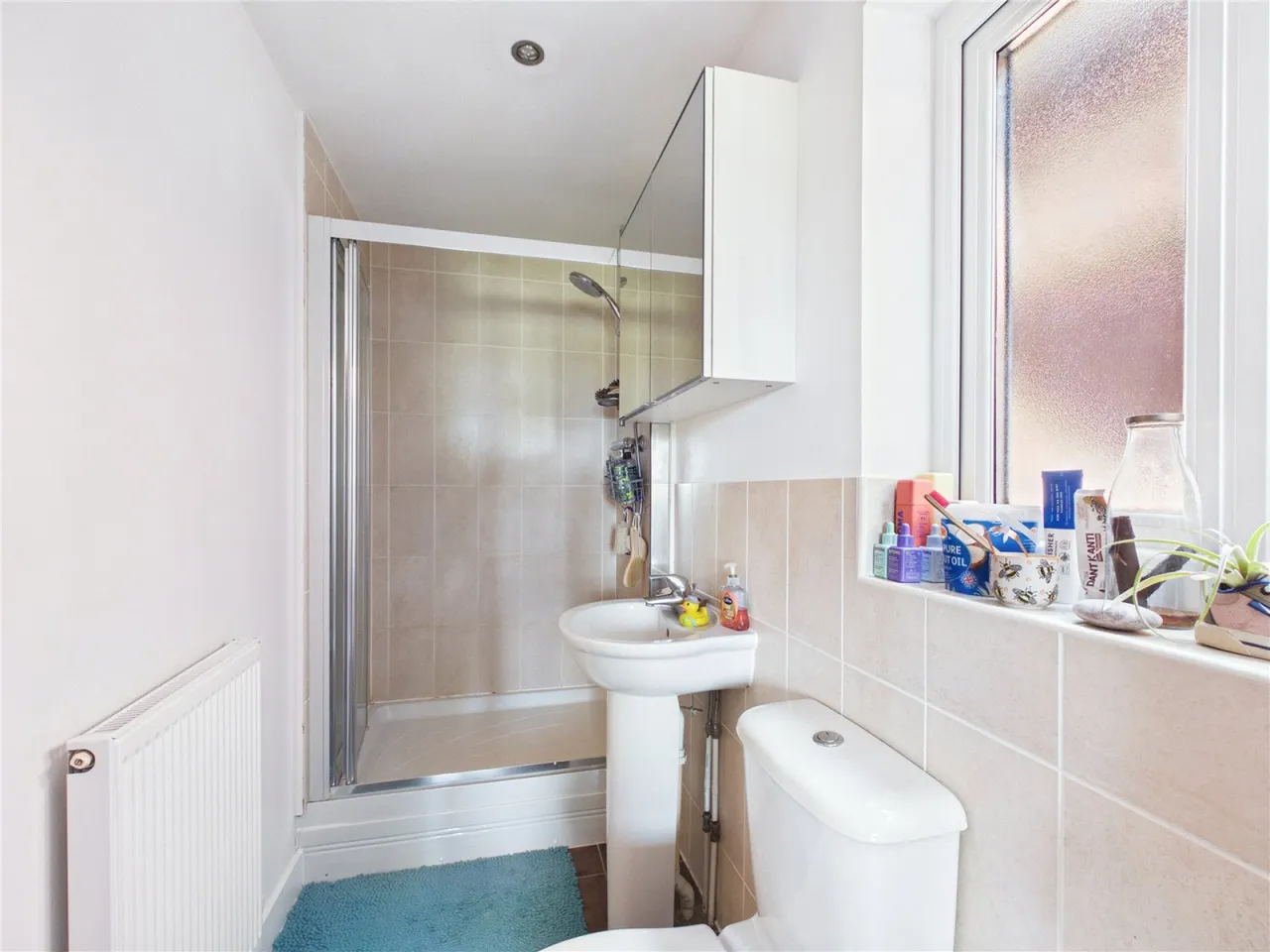 Maple Park, Bristol, BS14, photo 19