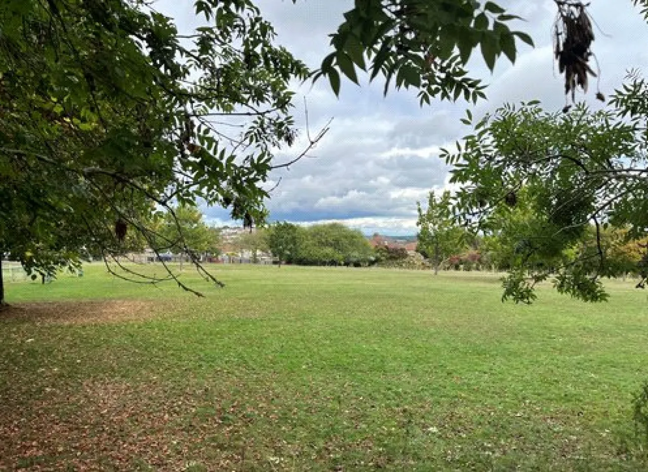 Maple Park, Bristol, BS14, photo 23