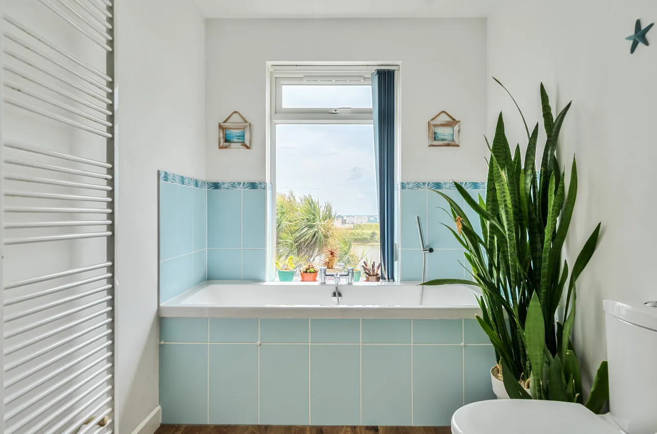 Brighton Road, Lancing, BN15, photo 13