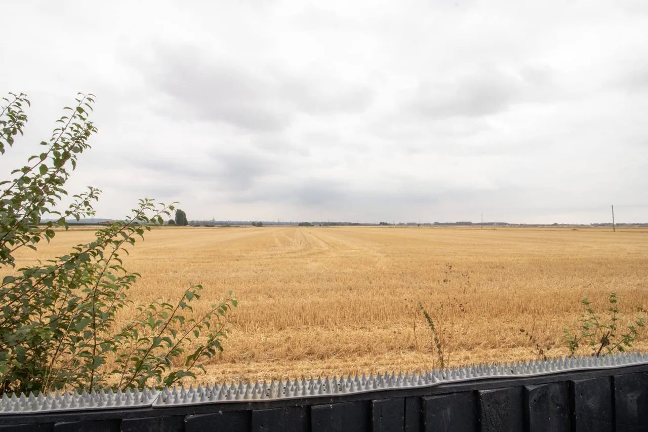 The Meadows, Burringham, DN17, photo 17