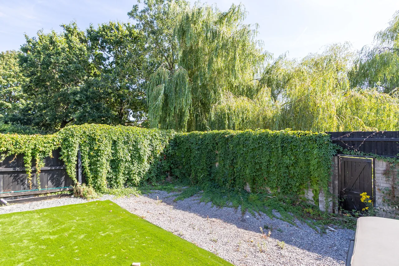 Db, photo 21