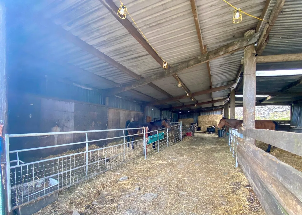 Maesmynis, Builth Wells, Powys, LD2 3HT, photo 30