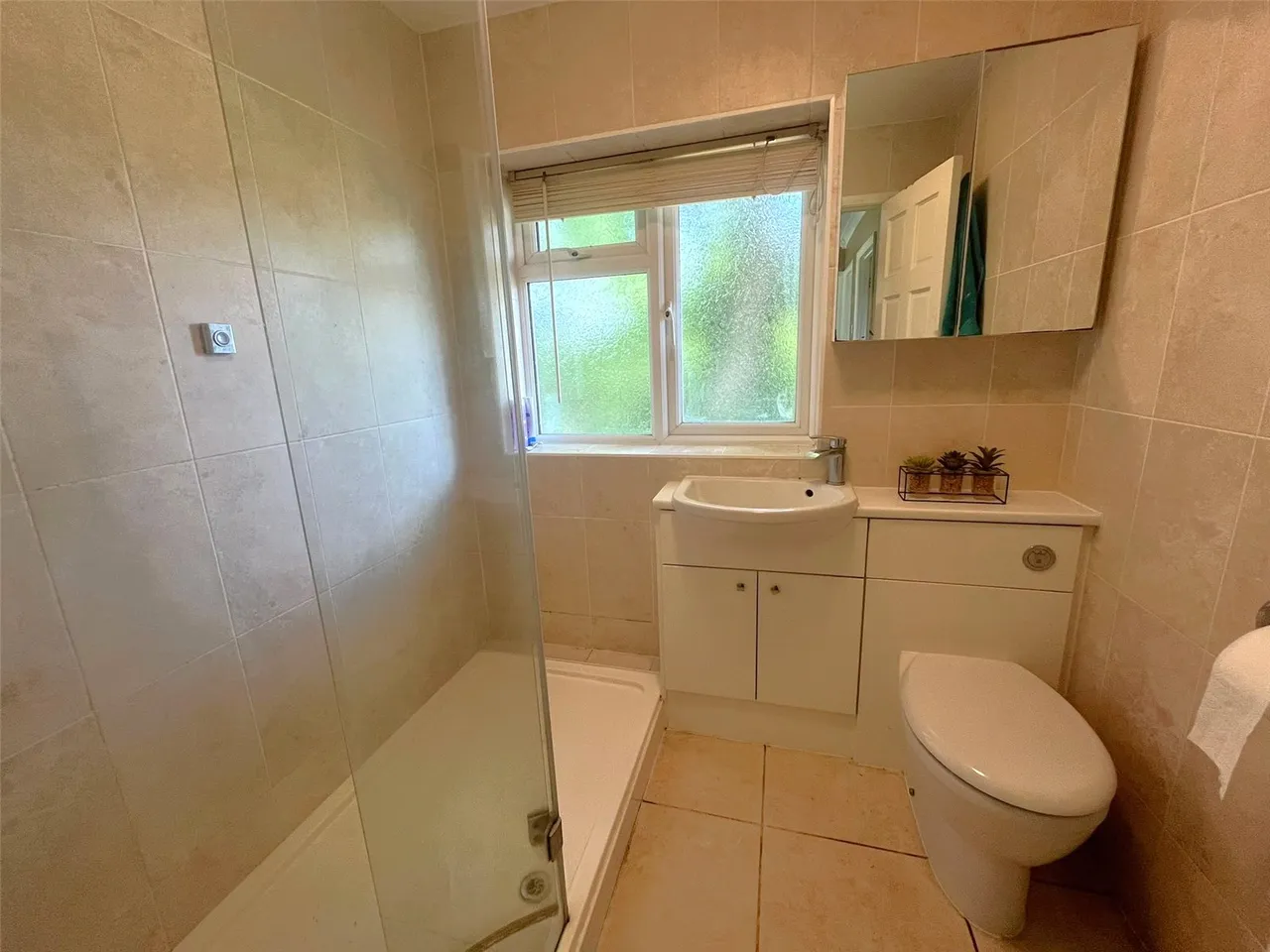 Packenham Road, Basingstoke, Hampshire, RG21 8XX, photo 7