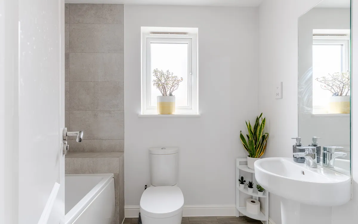 Alexander Road, Frenchay, BS16, photo 12