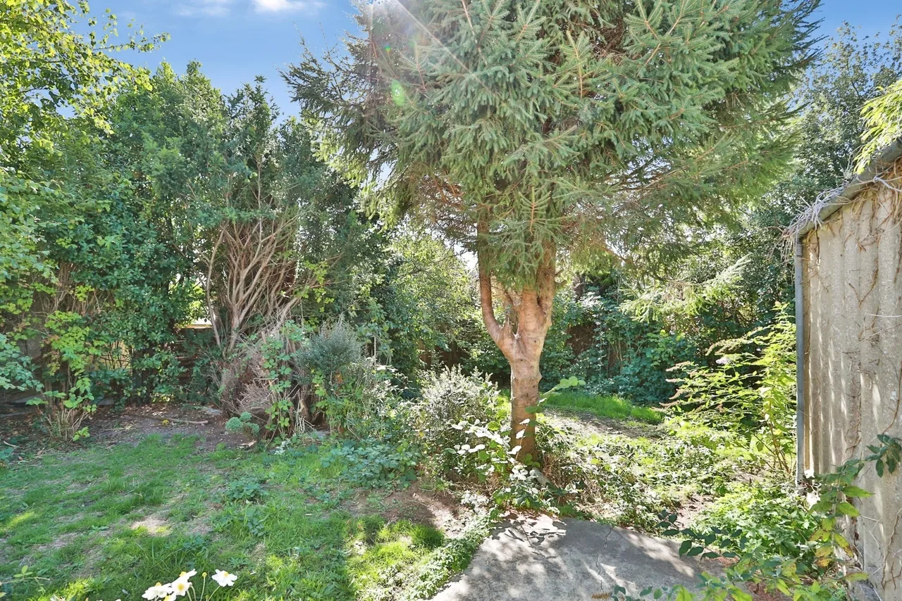 Rosemary Road, Poole, BH12, photo 15